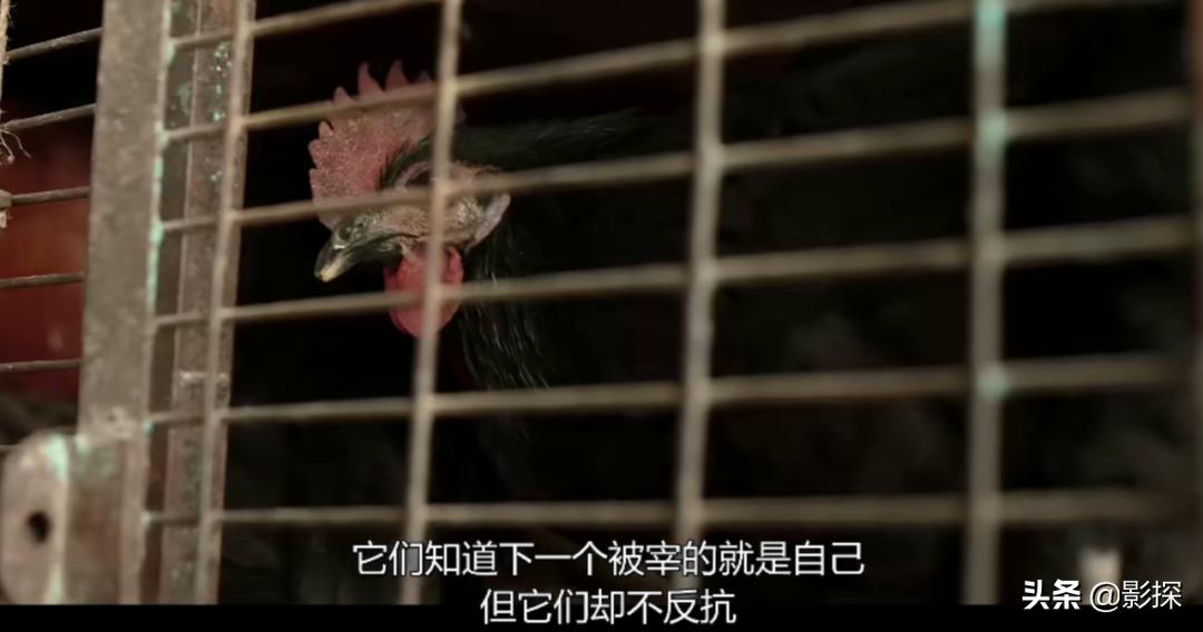 三观不正阴阳失衡,三观不正脾气大