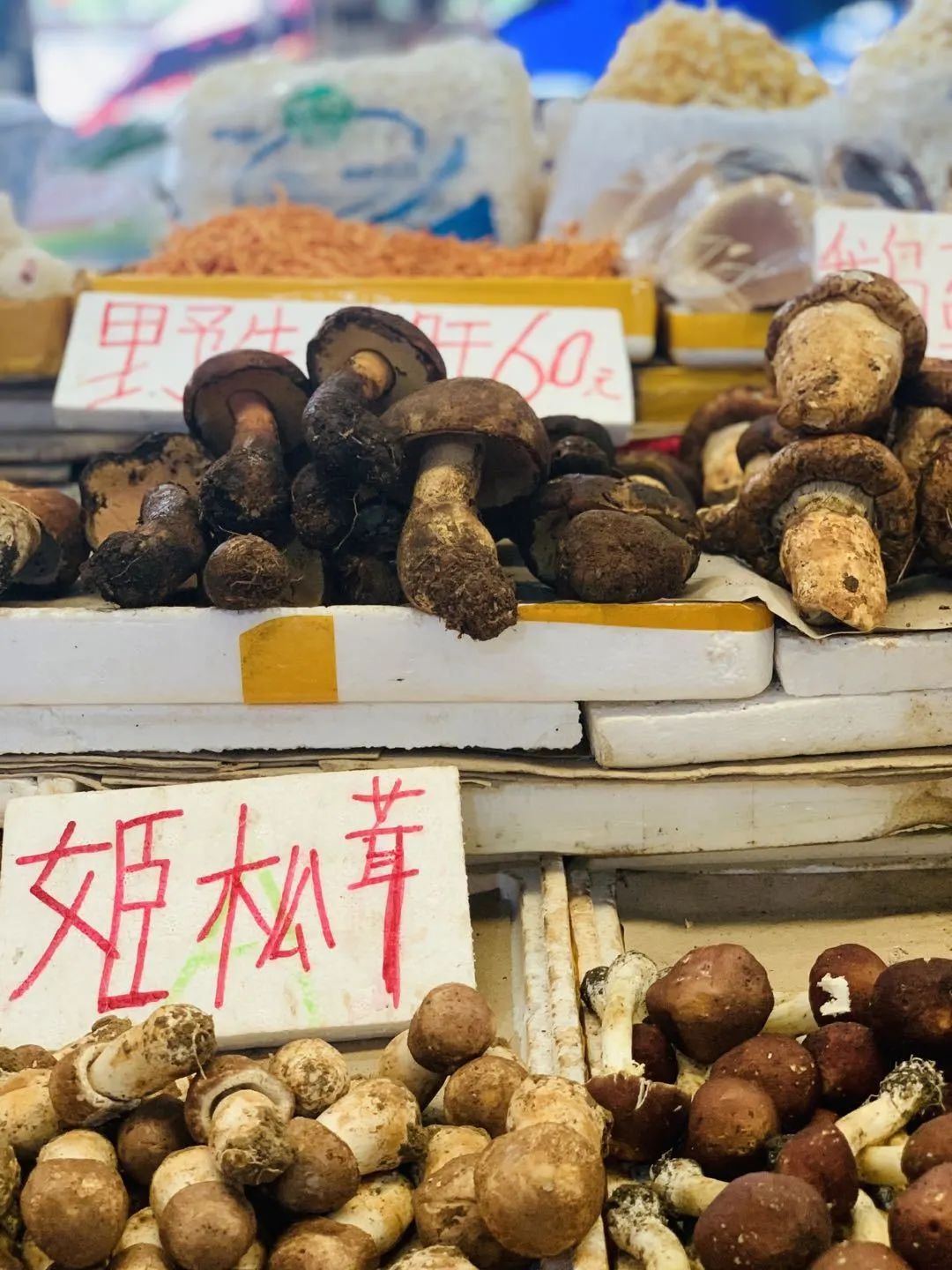 静远路便民服务中心在哪里,锦江区静远路便民服务中心