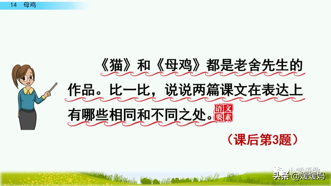 四年级下册第13课小练笔仿写母鸡,四年级下册14课母鸡的预习完整版