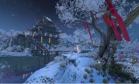 王思聪玩的网游叫什么,王思聪玩过的网游叫什么