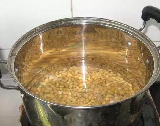 绿萝君子兰的养殖方法,绿萝君子兰怎么养才能更旺盛