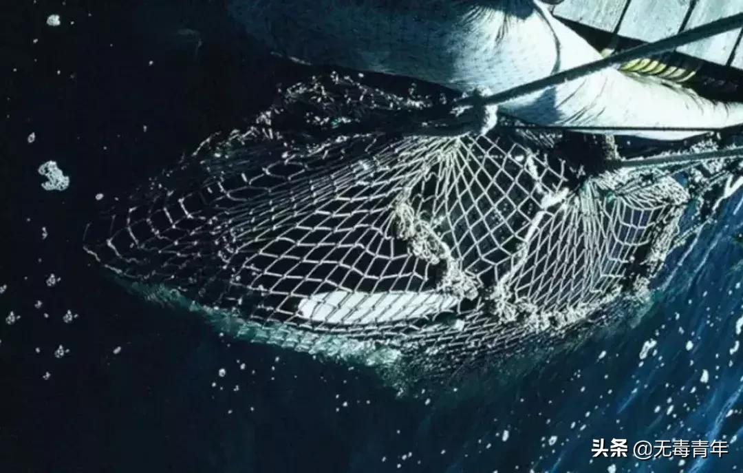 被囚34年取精，被迫亲手杀死爱子，最后只能挣扎着死去…