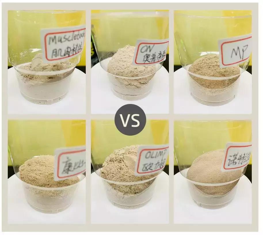 增肌粉推荐十件套,增肌必备干货