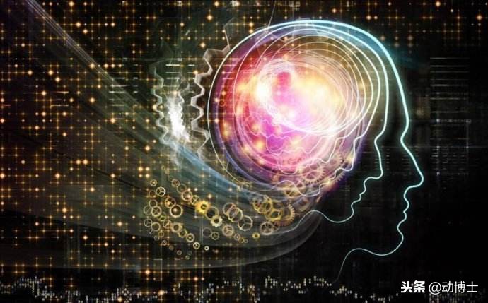 运动可以增加孩子记忆力吗,小孩运动能开发记忆力吗