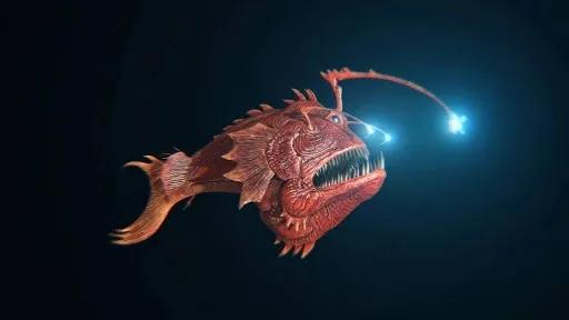 鮟鱇鱼是雌雄一体吗,鮟鱇鱼繁殖方式