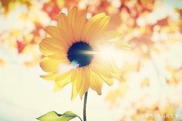 在这个浮躁的社会很难保持初心,当今浮躁的社会还能保持初心吗