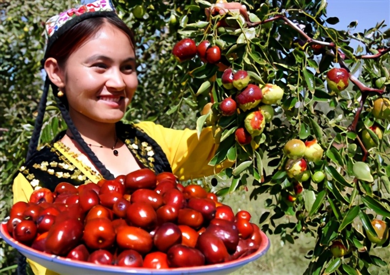 林草科普类短视频,林草科普视频