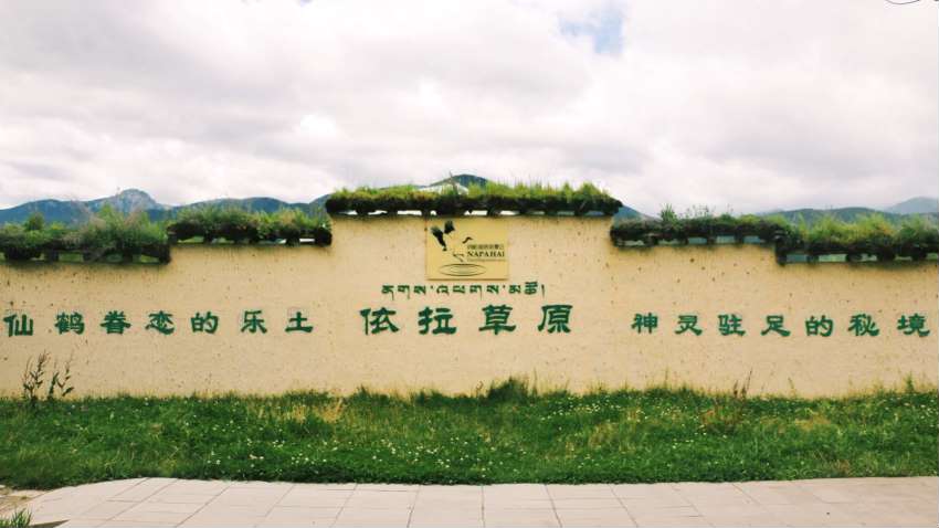 最美的季节遇见最美的你 (最美的季节遇见最美的你散文)