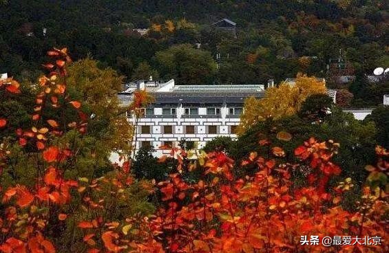 香山红叶几月去最好香山用预约吗,去北京香山看红叶别去爬山吗