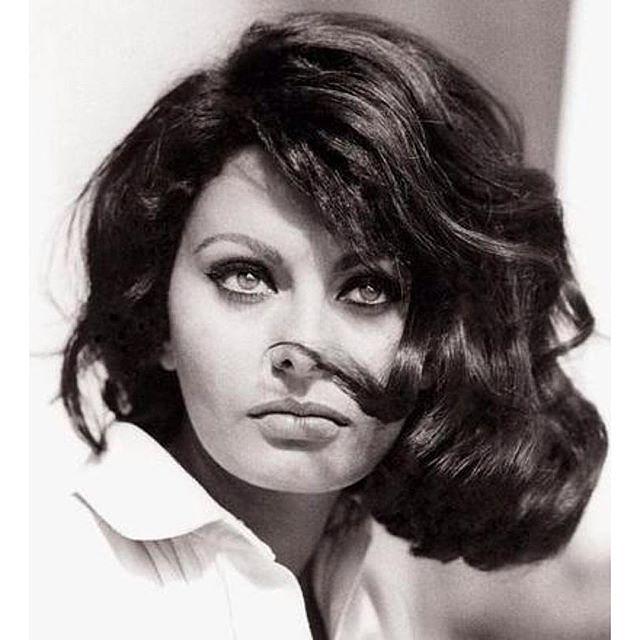 意大利索菲亚罗兰照片,欧洲国宝索菲亚罗兰