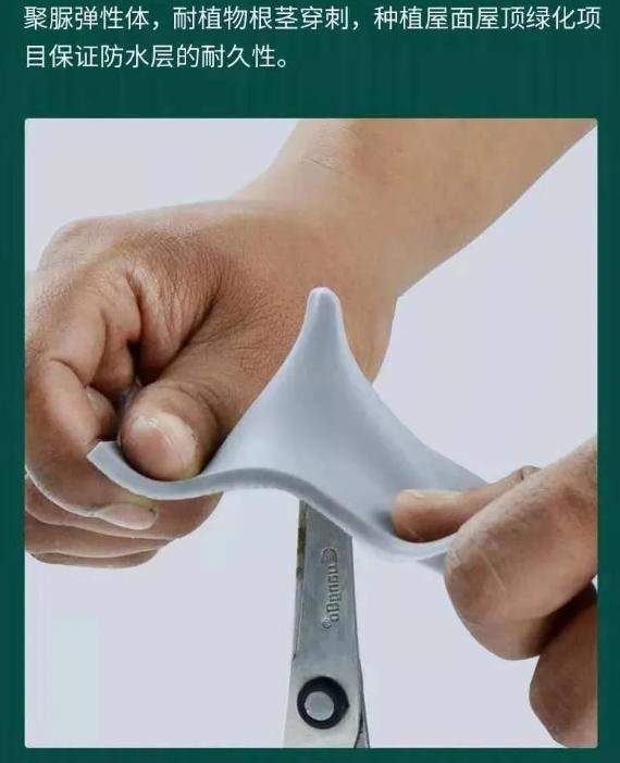 天冬聚脲高科技材料,天冬聚脲配柔光砖好看吗