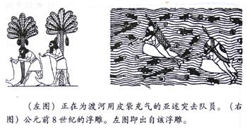 世界船舶介绍,世界船舶进化史