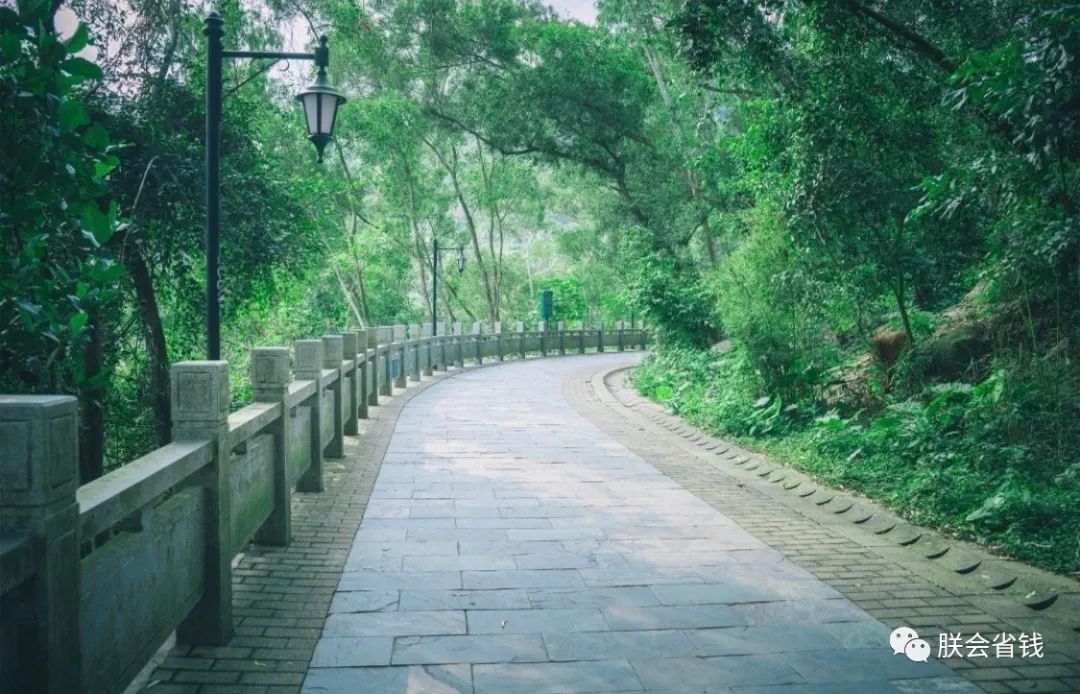 深圳一日游必去的地方免费,深圳周末自驾一日游