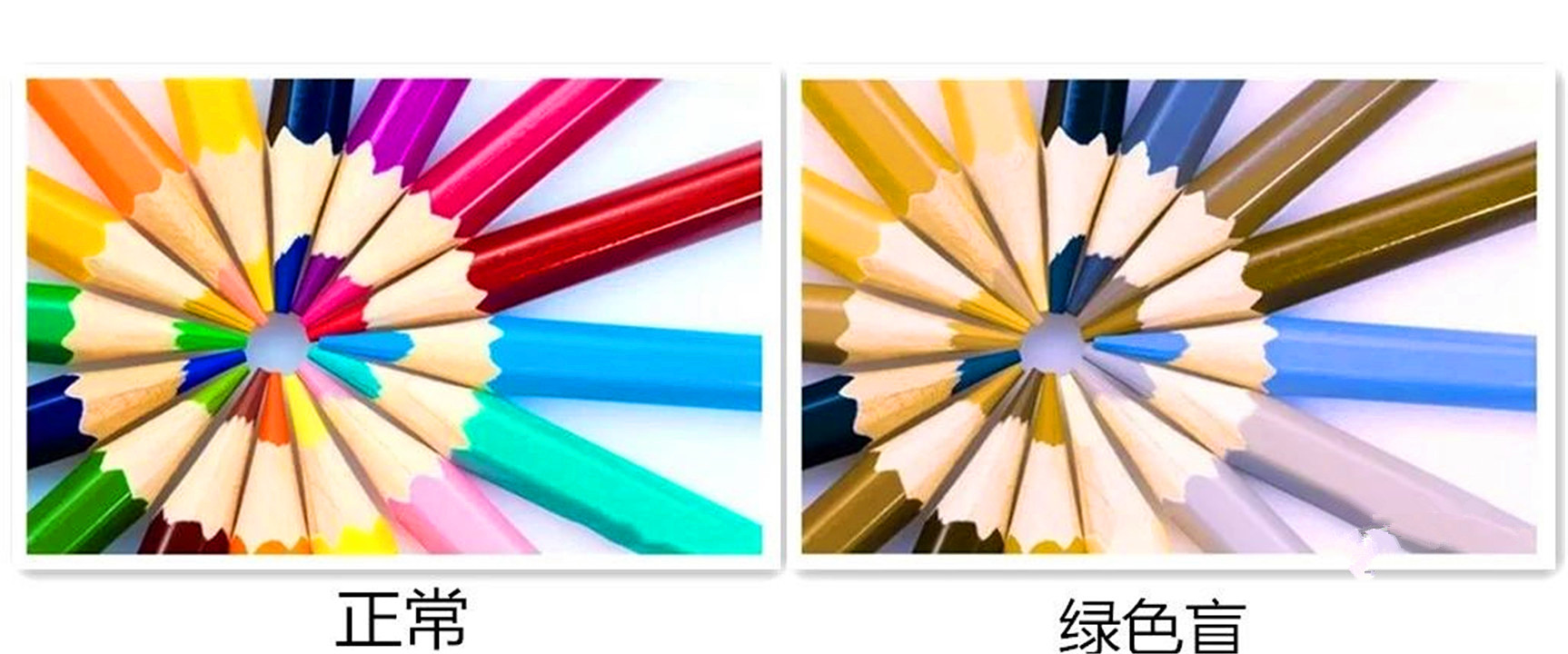 色盲与正常人眼中的世界的区别,色盲和普通人眼中的世界对比