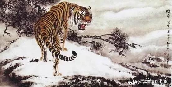 工笔老虎技法教学视频,工笔老虎胸毛的撕毛法