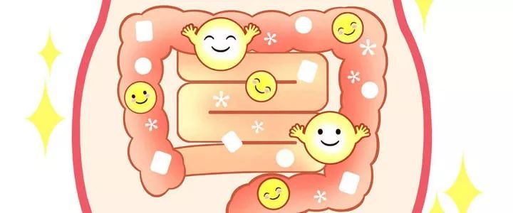 肠道是危重症患者发生多器官功能障碍的发动机