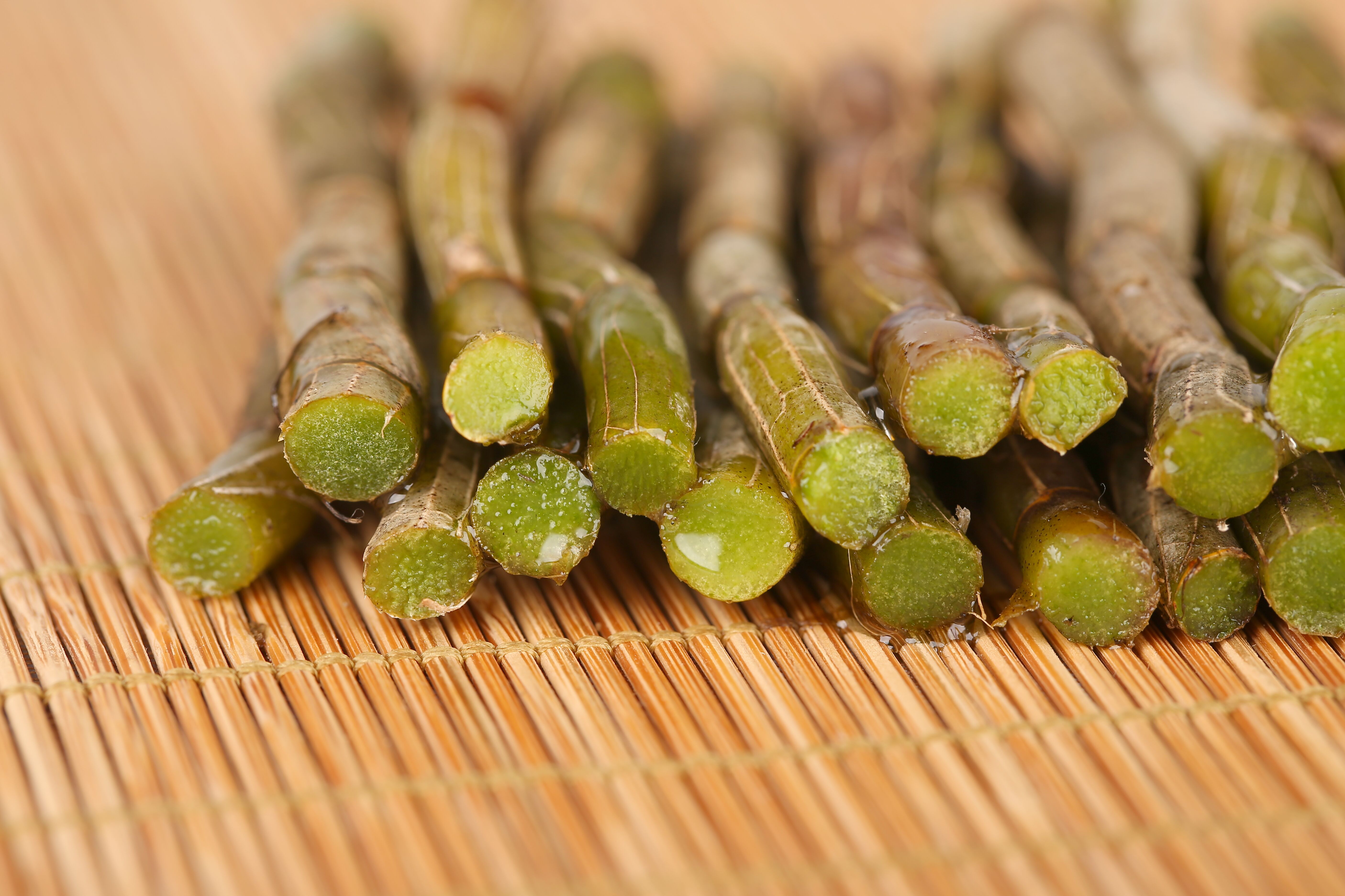 新鲜的石斛要怎么保存,鲜石斛怎样保存比较好