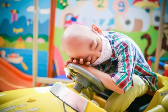 自存脐带血的价值不应被盲目否定 (科学认识自存脐带血)