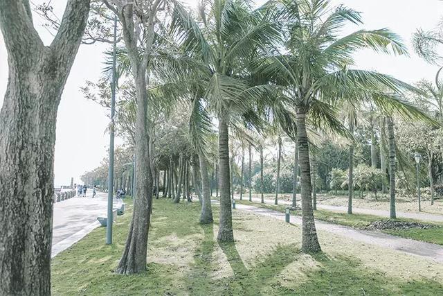 深圳旅游4天最佳路线,深圳出发四天旅游攻略推荐