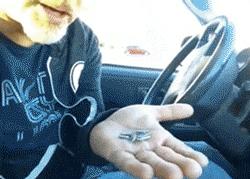 老外开始学中国人嗑瓜子了,老外开始学中国话