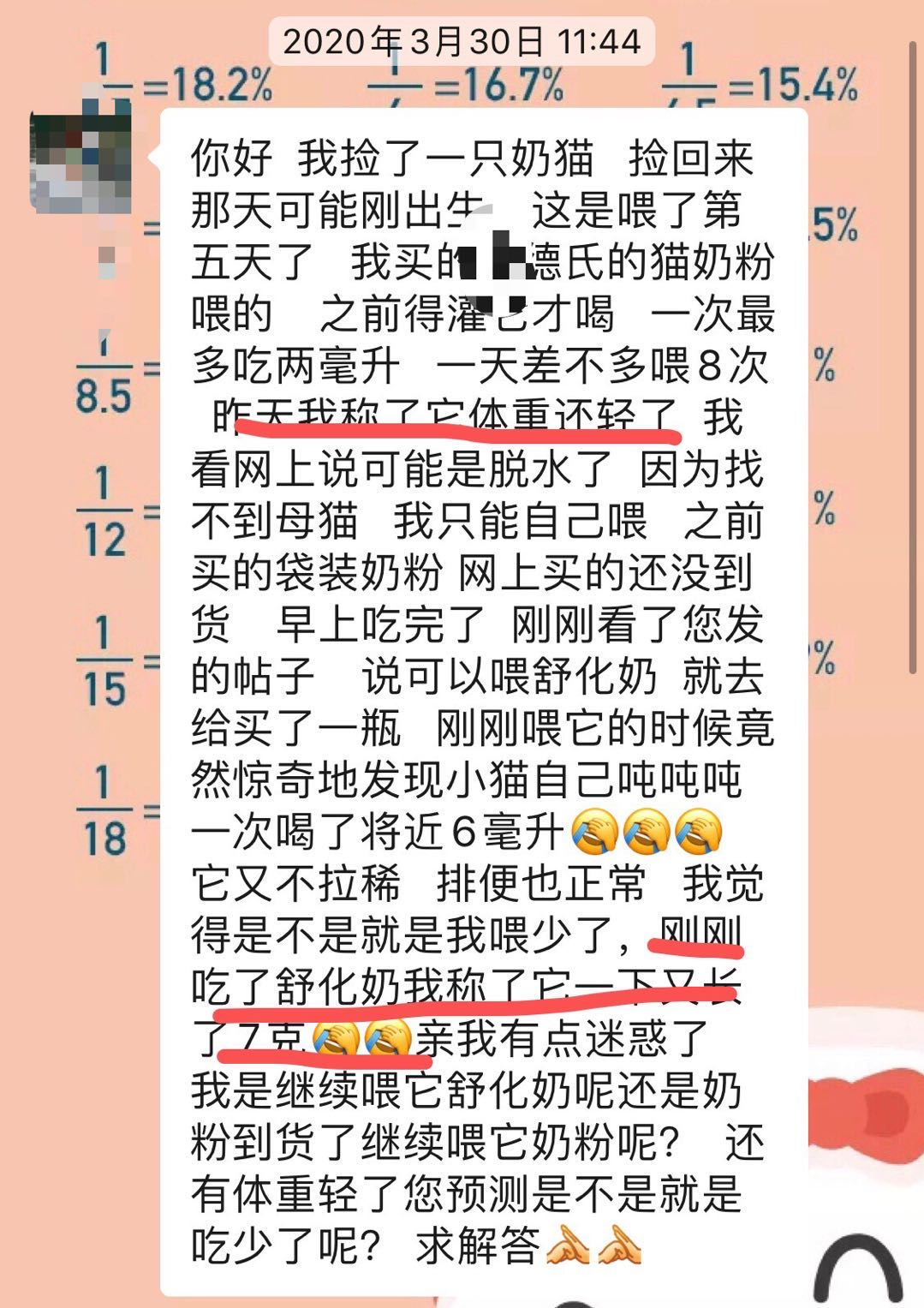 两只超凶的小奶猫怎么养,养刚出生的猫