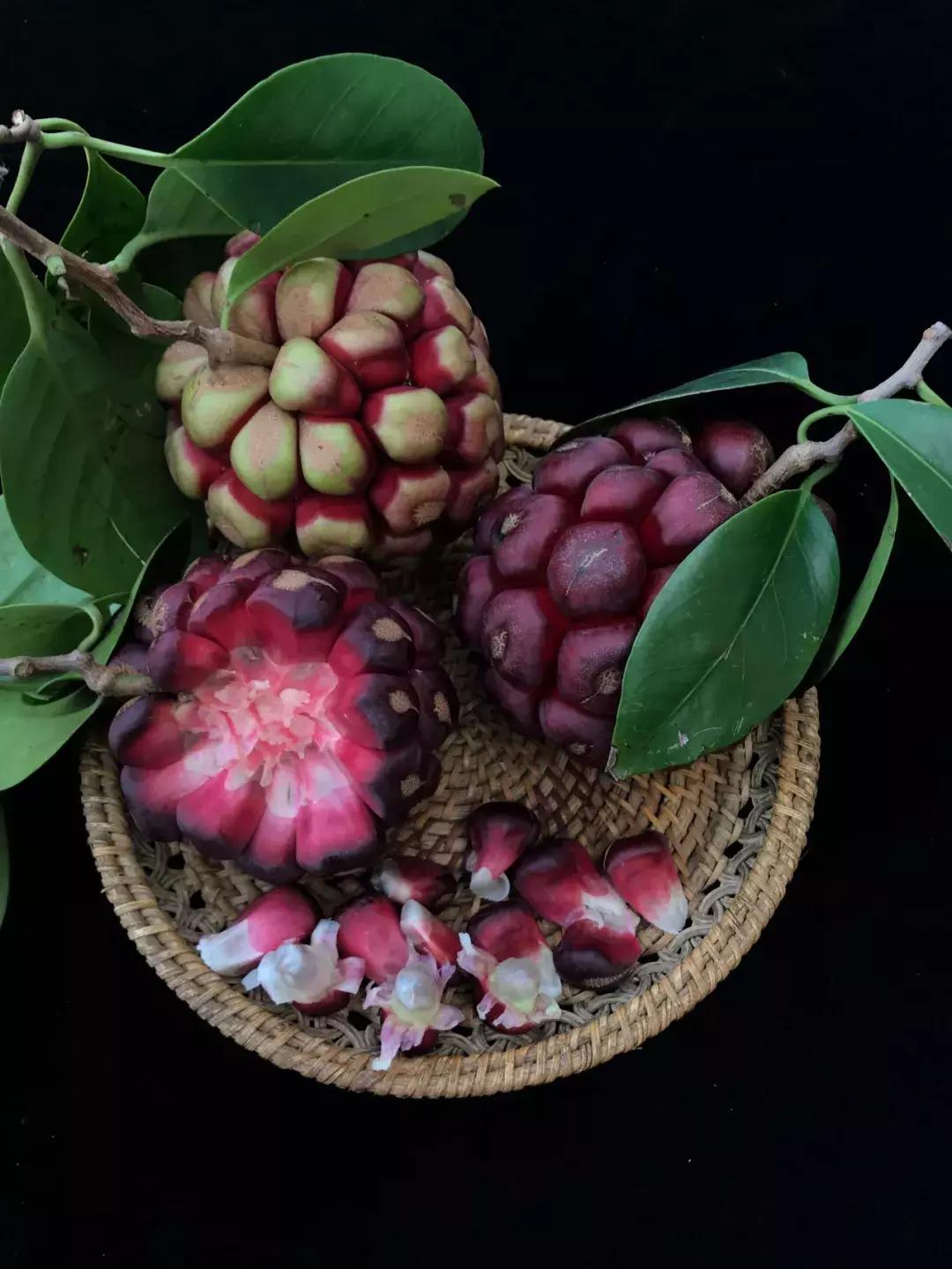 他的工作是厨师的英文,他的工作是什么英文句子