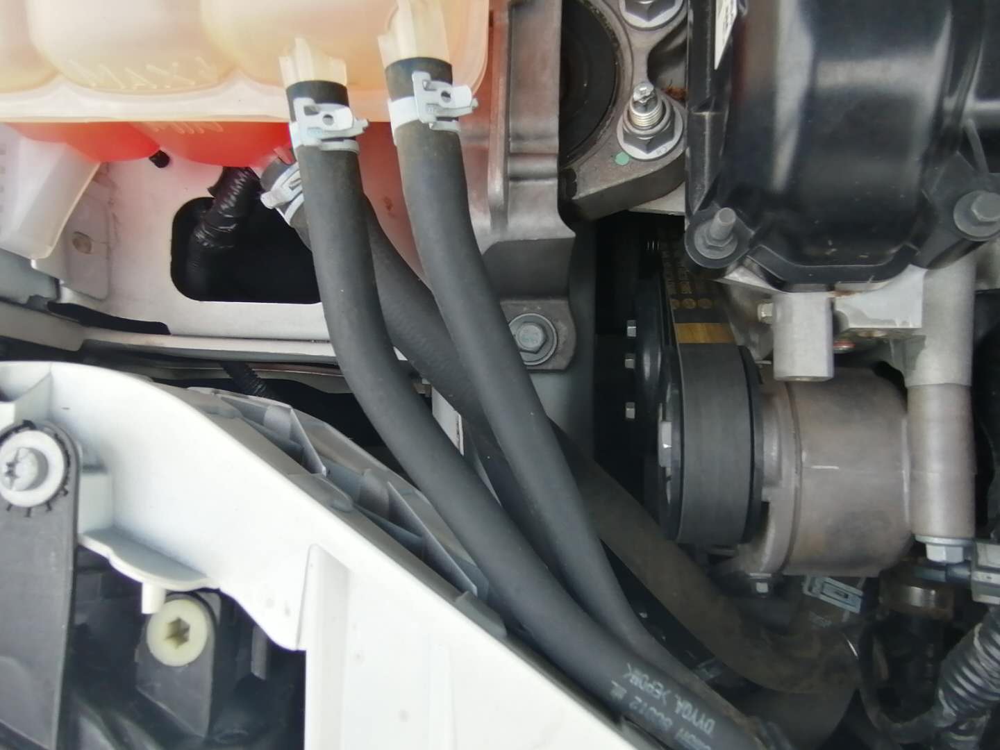 胖哥试驾福克斯1.5t,福克斯两厢1.8百万纪念版评测