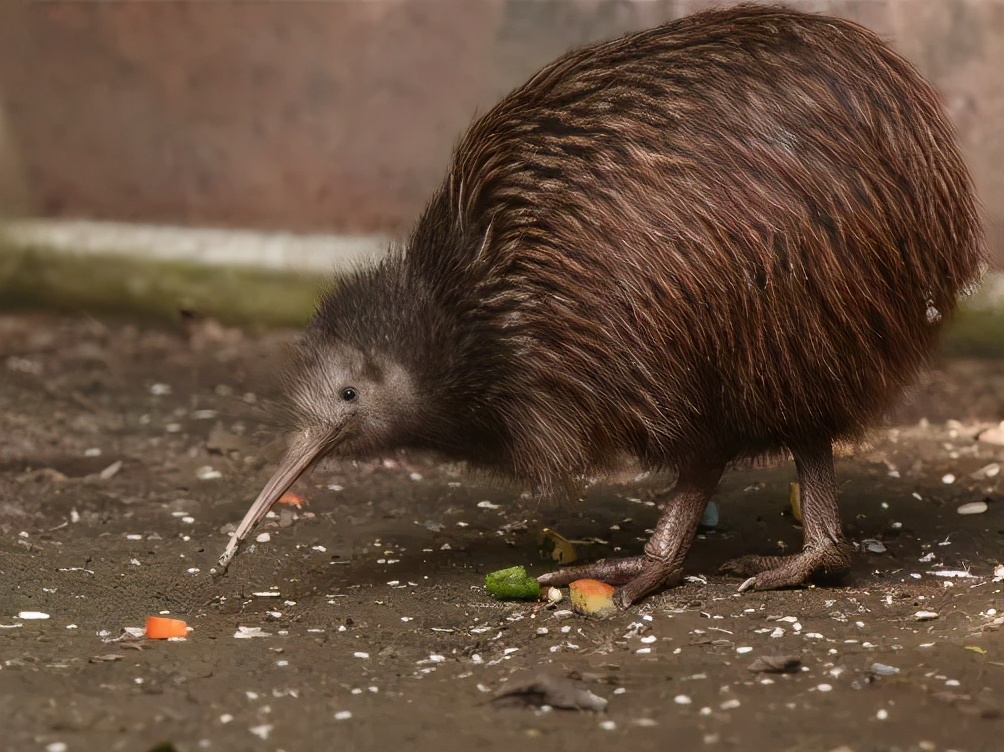为啥大樱桃叫车厘子,车厘子不是大樱桃吗