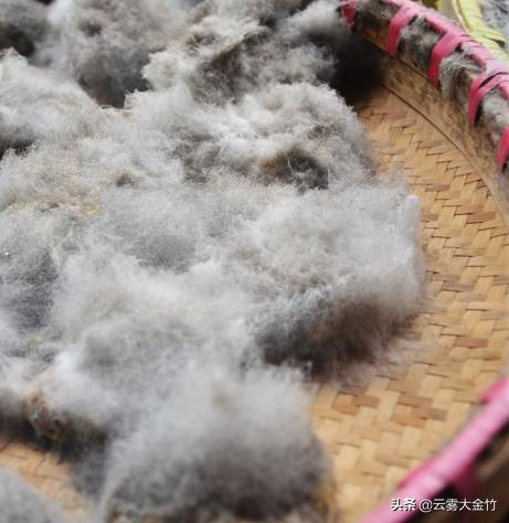 家庭自酿黄豆酱（酱油）-感受食品发酵的神奇