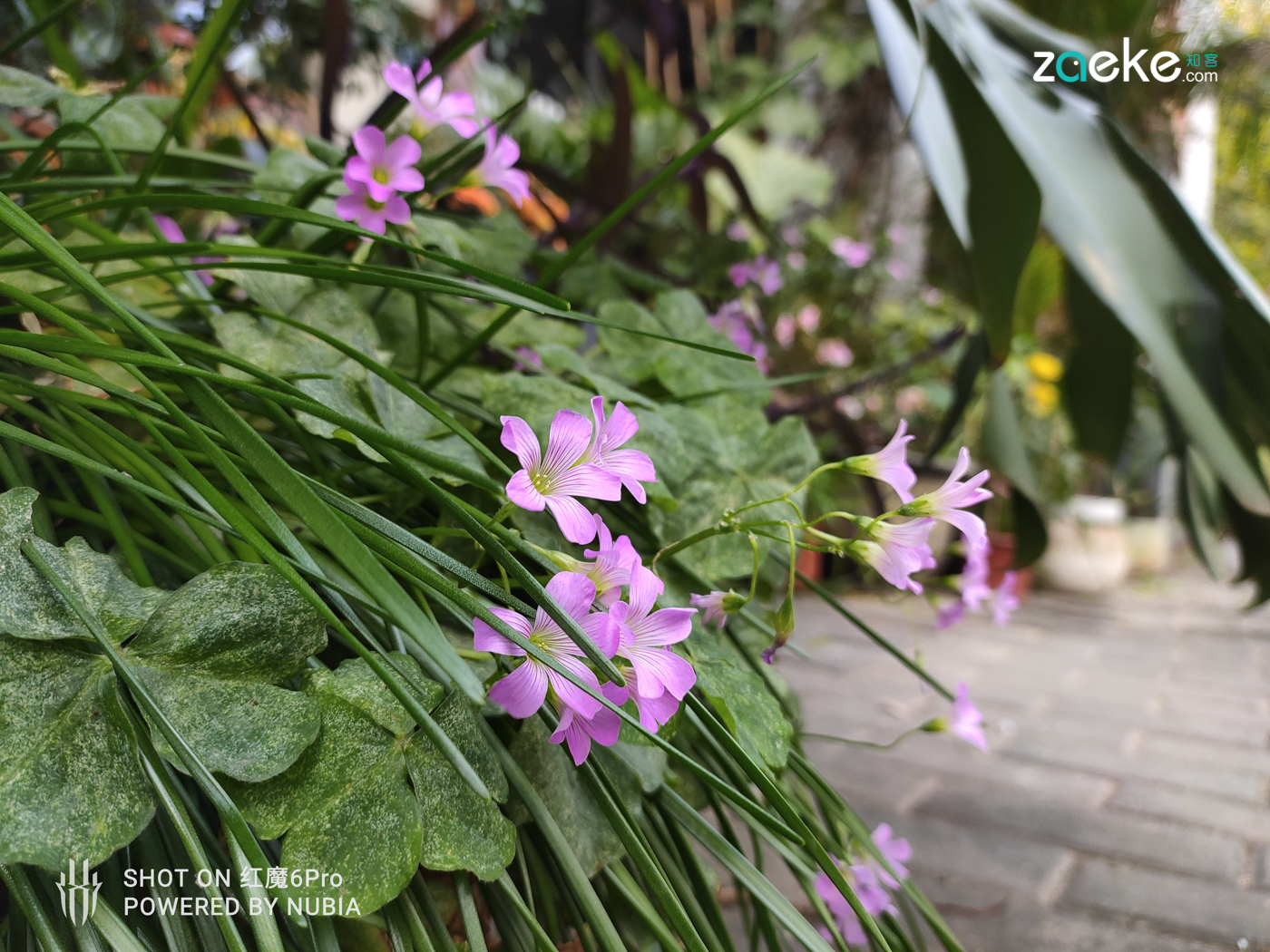 红魔6pro的魅力,红魔6pro的功能