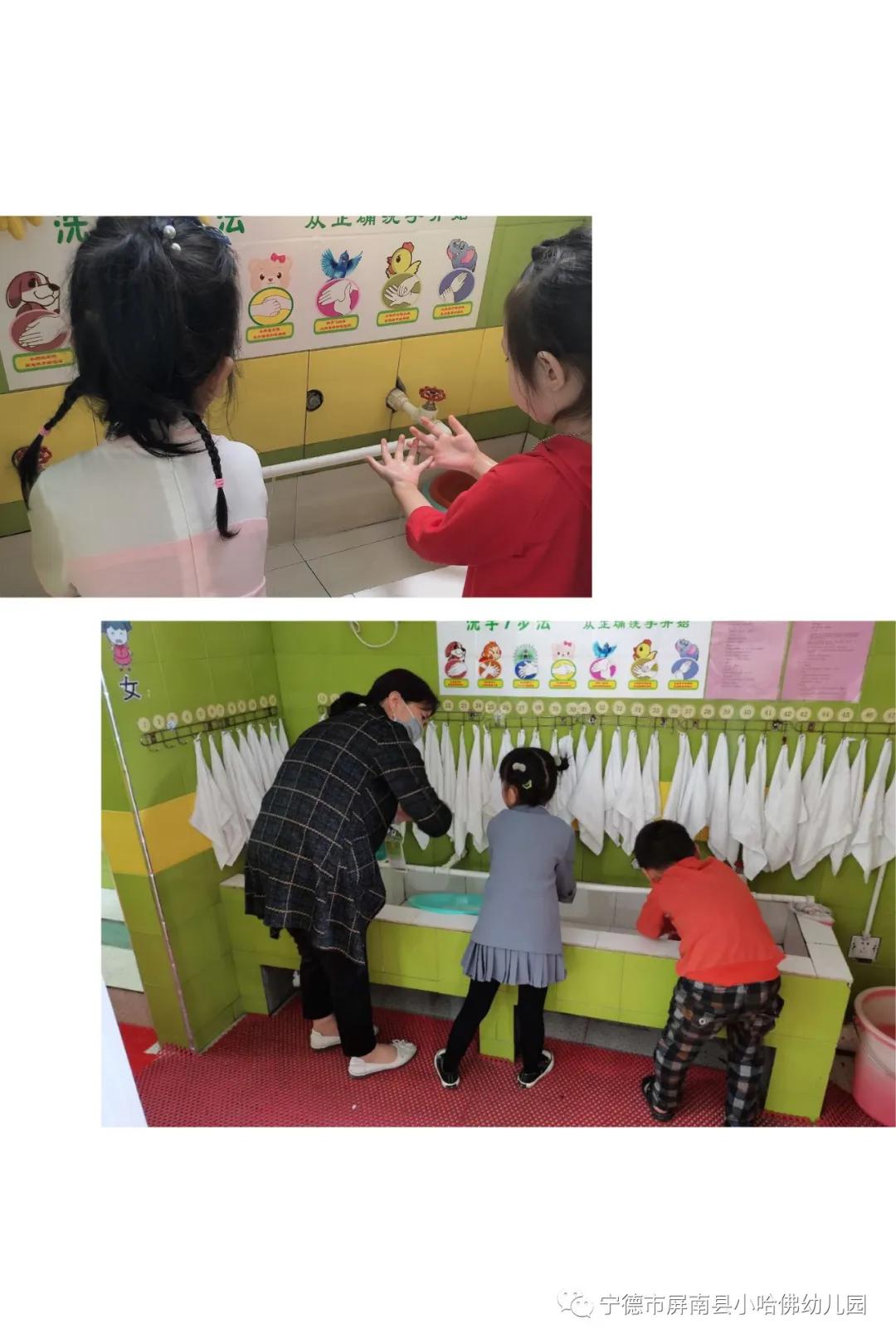 宁德小哈佛幼儿园,宁德蕉城区小哈佛幼儿园