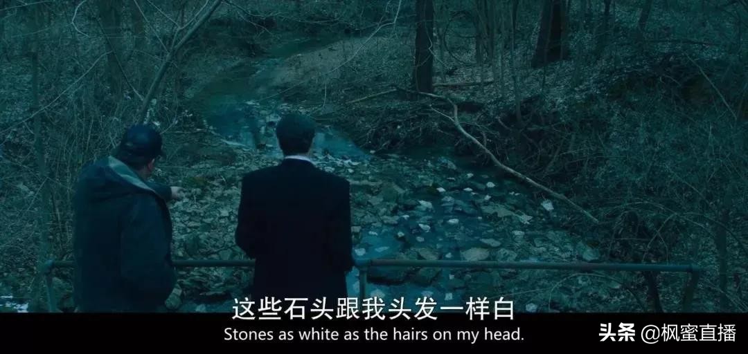 奥斯卡史上璀璨遗珠,奥斯卡遗珠