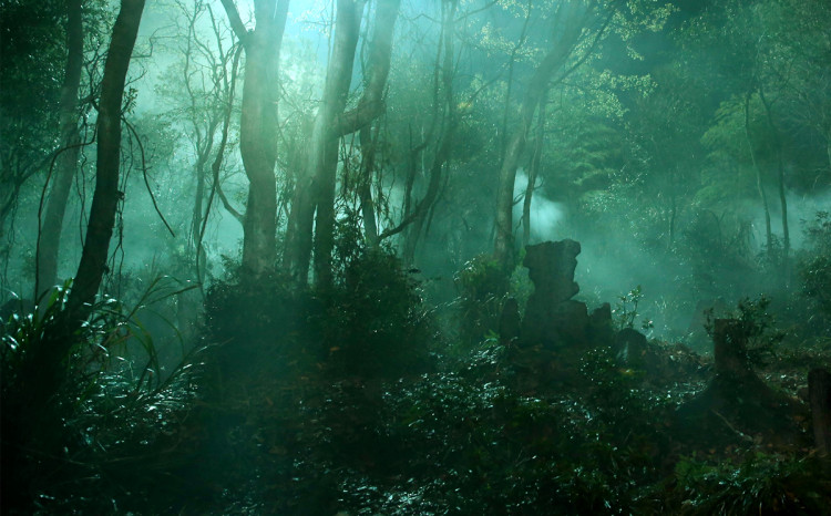 怒晴湘西探险之路,怒晴湘西画面色调像电影