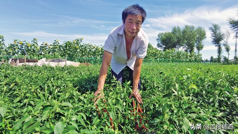 有图有真相的攻略,有图有真相逆战