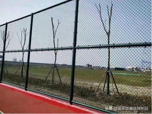 球场围网有哪些规格,如何选择篮球场防护围栏网