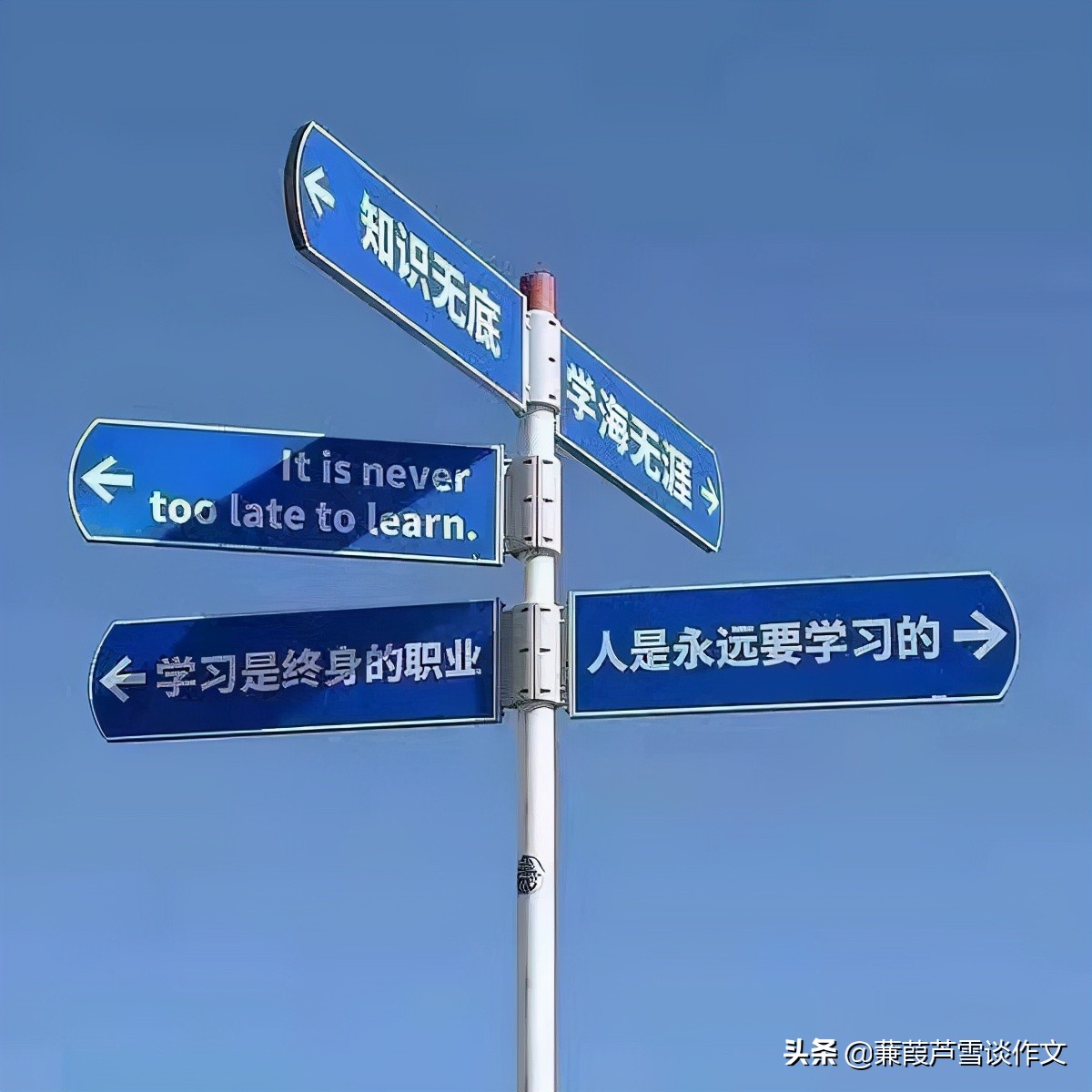 关于双减政策的小学生作文400字,双减政策教师学习心得英语作文