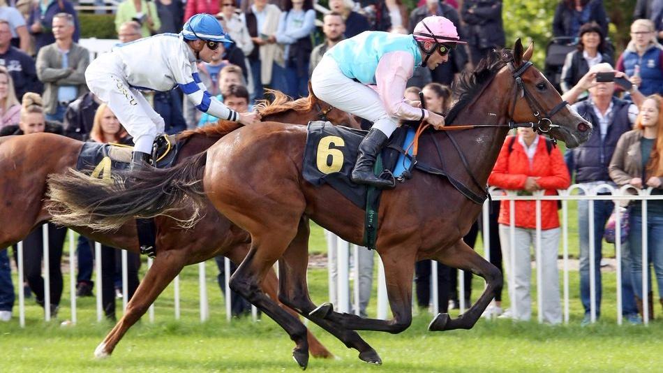 世界最近赛马运动,世界赛马历史排名榜单