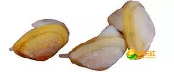 舟山海鲜攻略2天3晚吃什么,舟山海鲜代加工攻略