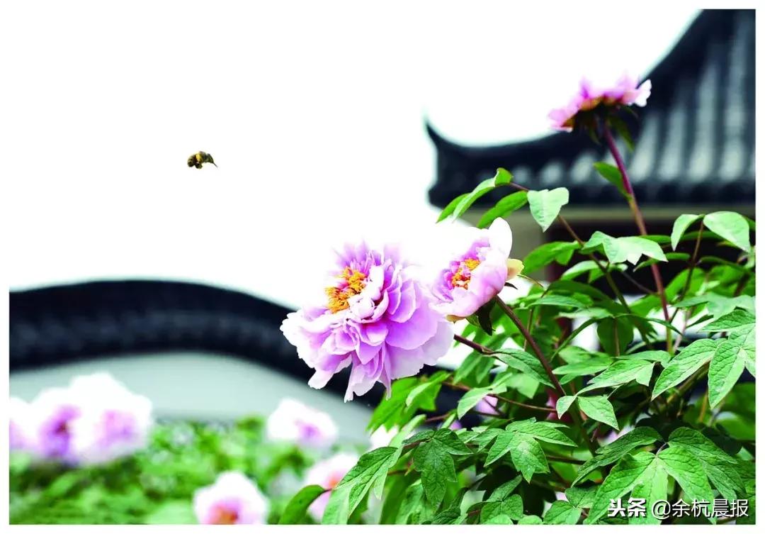 这里是攀枝花,走进仁和