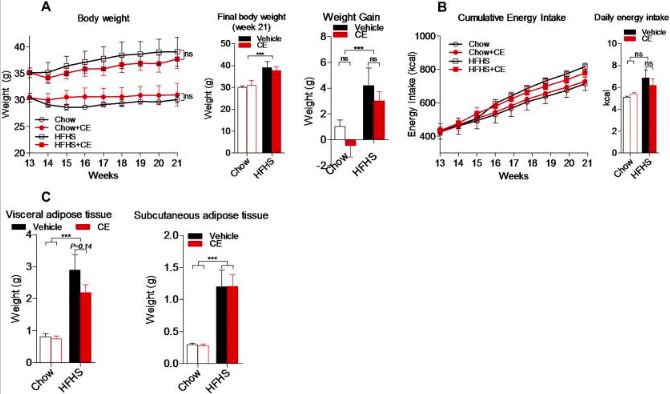 利用宿主分泌的粘蛋白“为食”的Akk菌