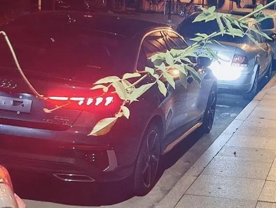 精神小伙喜提新车,精神小伙喜提比亚迪f3