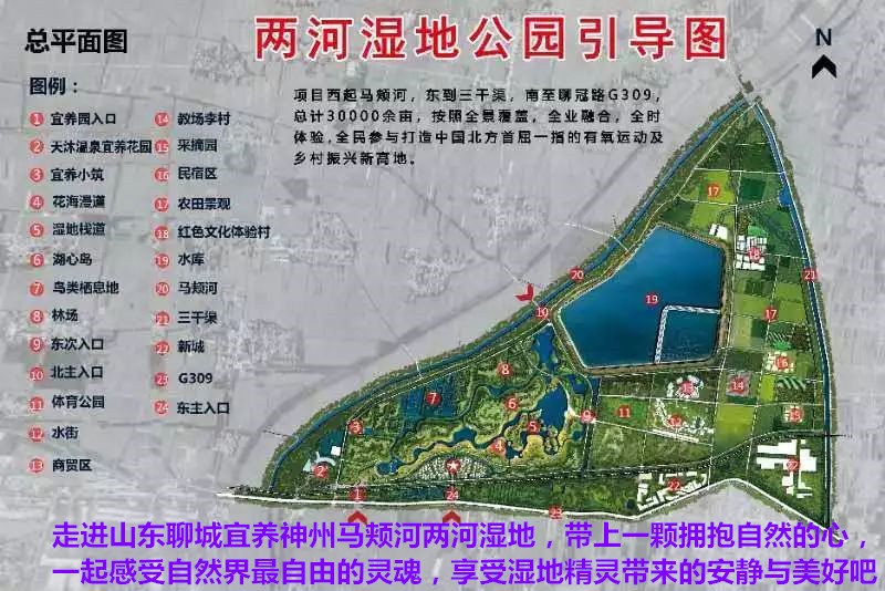 宜养神州房车营地,宜养神州房车