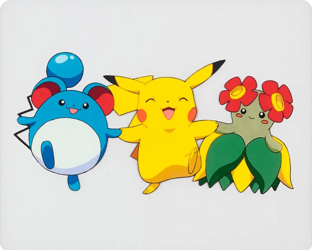 海贼王中的圣斗士,海贼王里面的皮卡丘