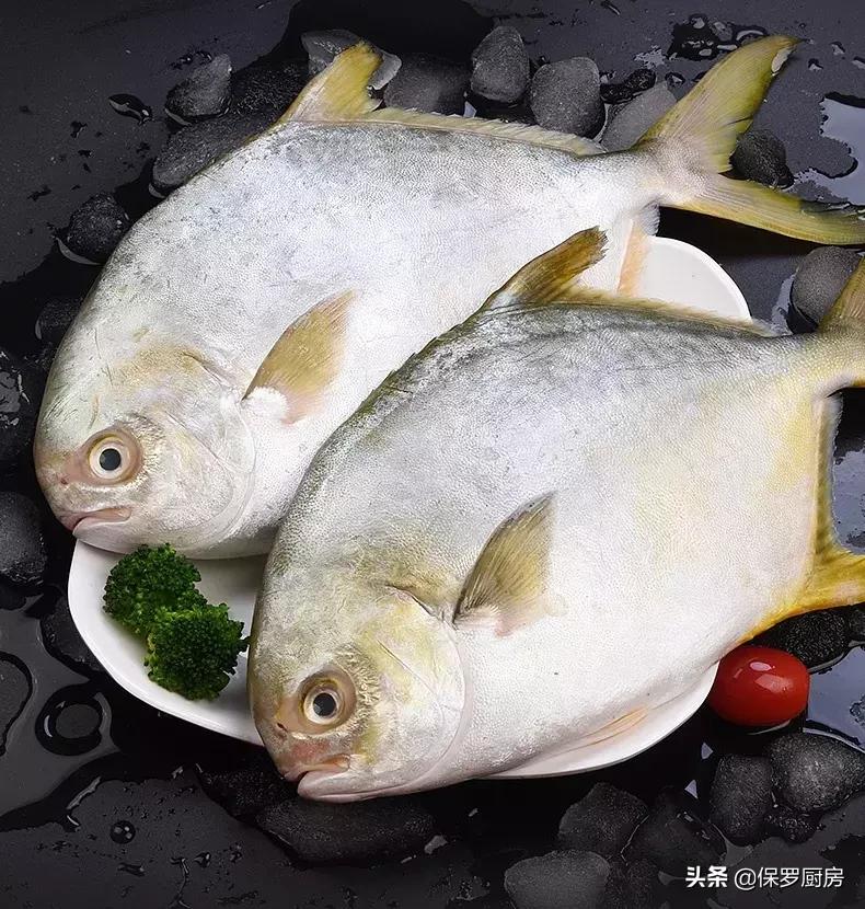 海鲜大荟萃,常见贝壳类海鲜