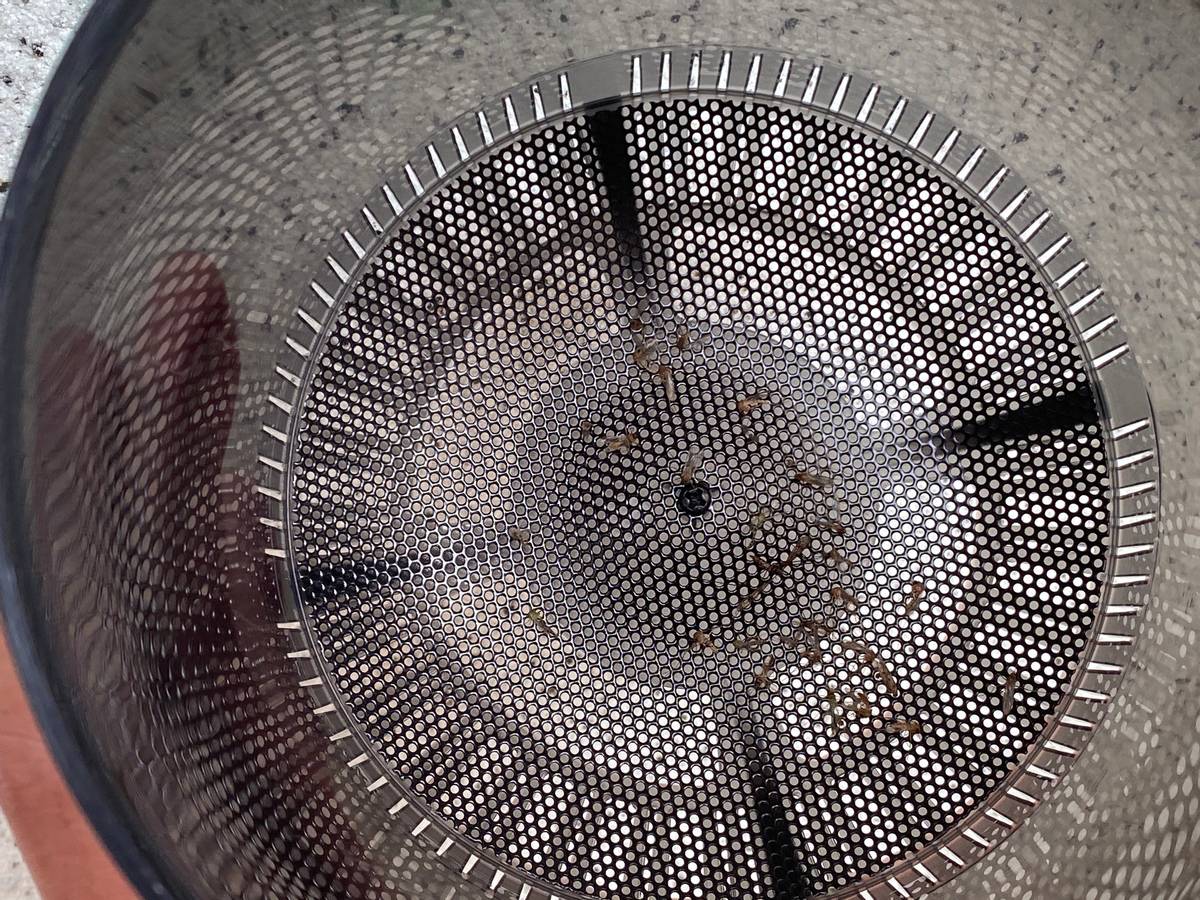 超声波灭蚊灯是智商税吗,灭蚊灯是智商税吗