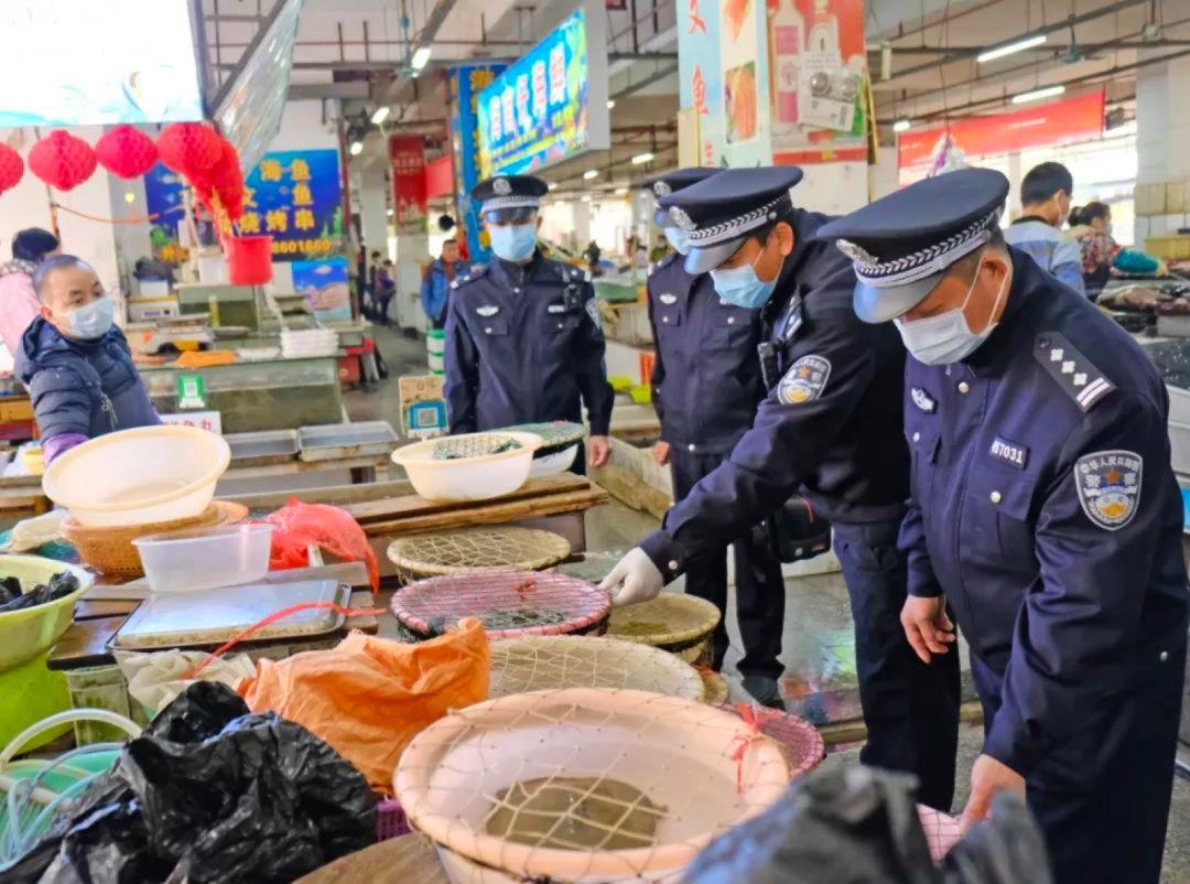 温州交警救人感人视频,温州交警感人