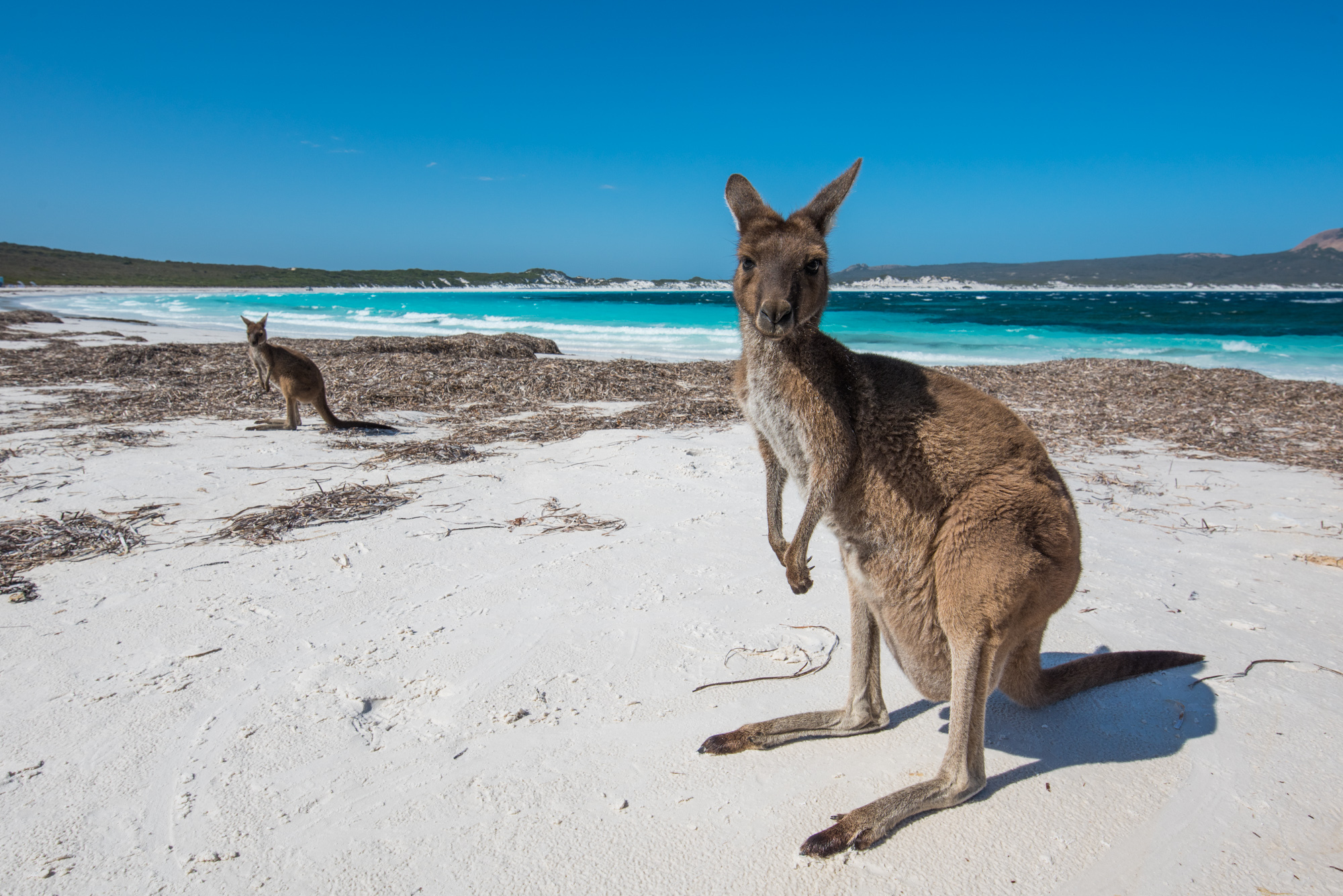 深邃的探索之旅摄影师的最佳助手-PROTREKPRT-B50