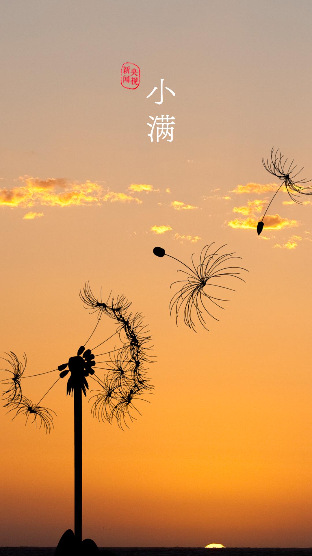 央视珍藏二十四节气手机壁纸,二十四节气壁纸手机超清全面屏