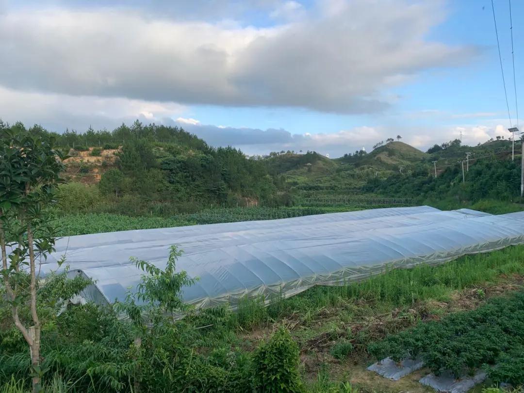 岳阳市融资担保有限责任公司,岳阳融资担保