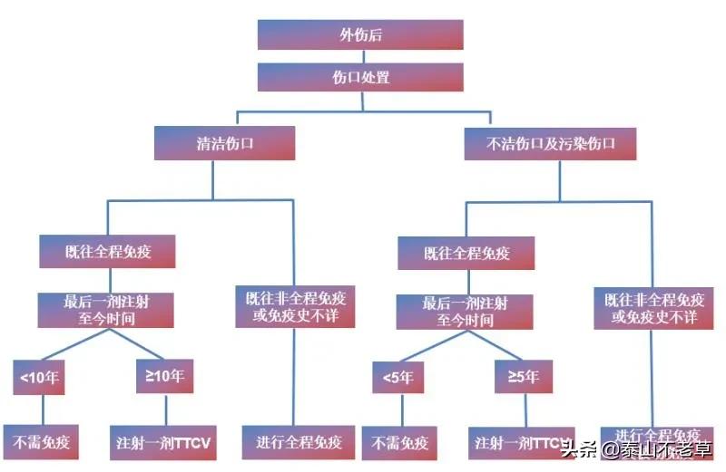 受伤皮试不能打破伤风针怎么办,鼻子受伤大出血要打破伤风针吗